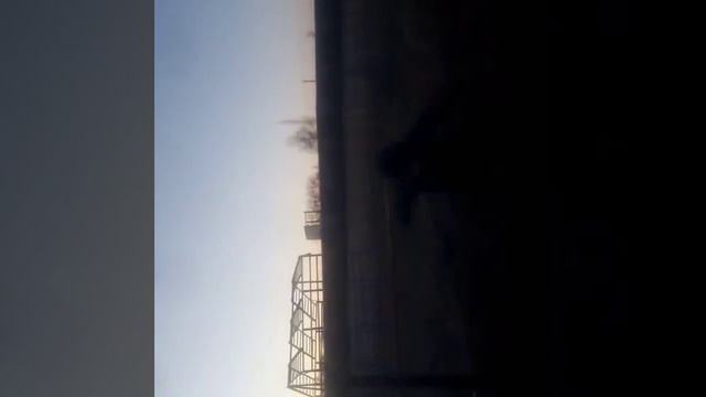Прыжок Лев Николаевич толстой 2019