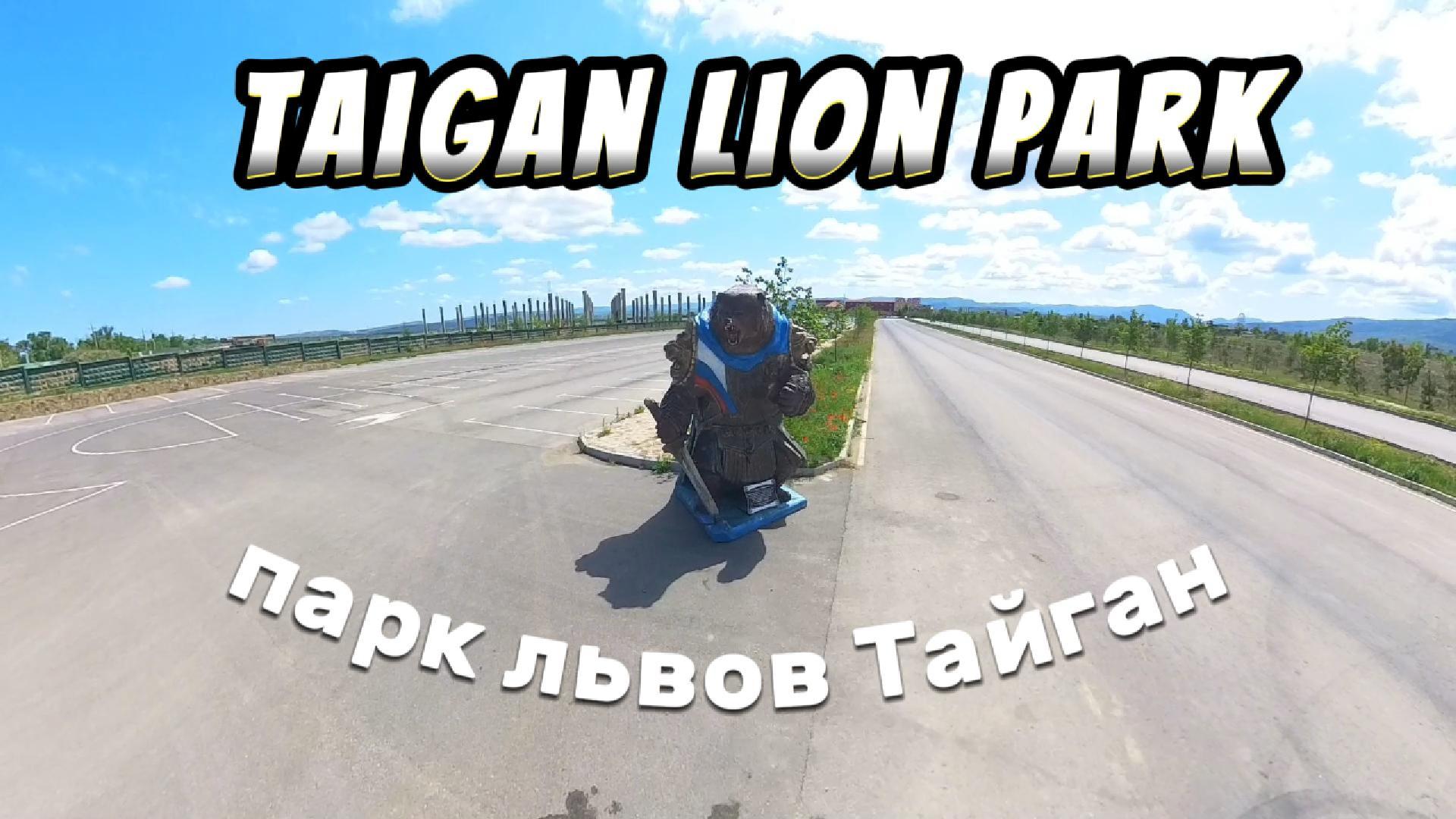 Медведь Боевая Русь