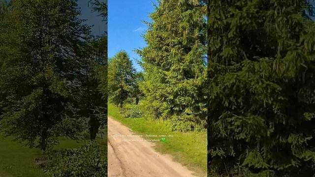 Просто представь ...