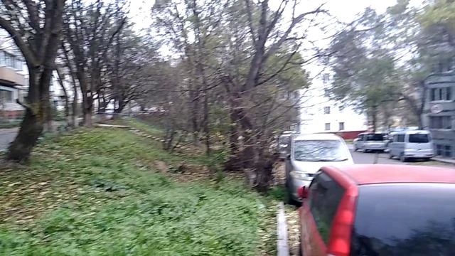 ОСЕННЕЕ УТРО ВО ВЛАДИВОСТОКЕ