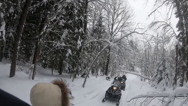 Покатушки на снегоходах