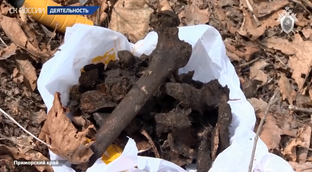 Останки советского солдата обнаружили на легендарной сопке в Приморье