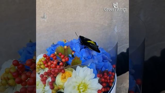 Бабочки в букете цветов