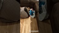 Чебурашка Рома кувырки.