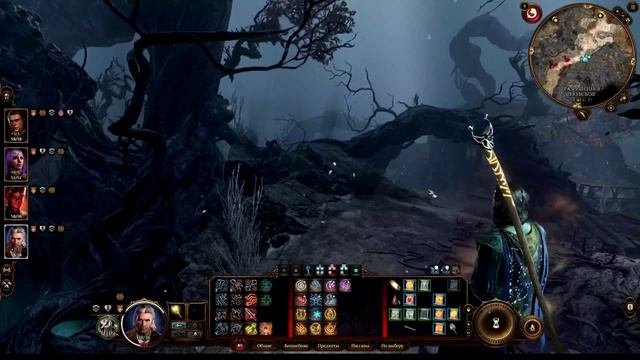 BALDUR'S GATE 3 ТУАЛЕТ Rural Toilet