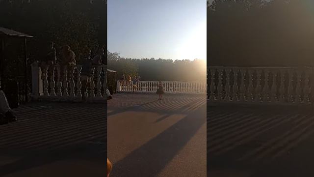 Долгопрудный прямой эфир