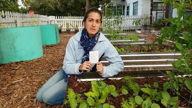 Top 10 Favorite Leafy Greens For Winter