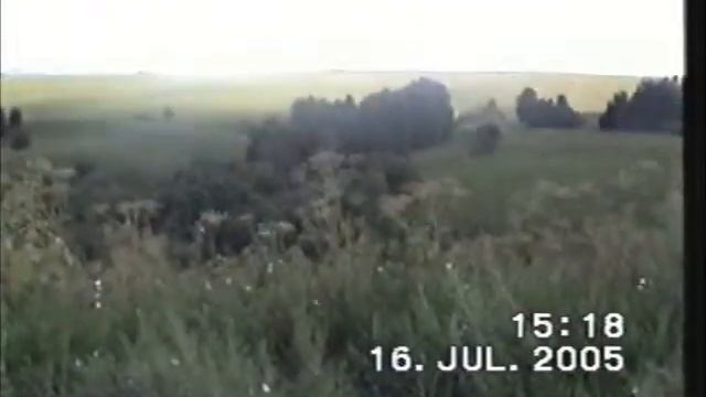 Травы Алтая.