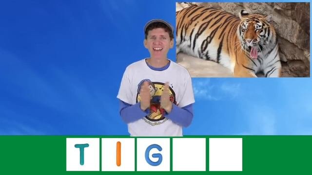 Finger Family Song - Zoo Animals With Matt  Nursery Rhymes Childrens Song  Learn English Kids