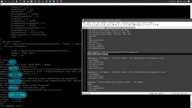 mongoexport & mongoimport | MongoDB