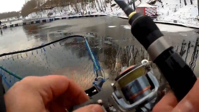 Форель на платнике Савельево 2 Пирогово 1 ноября вип.