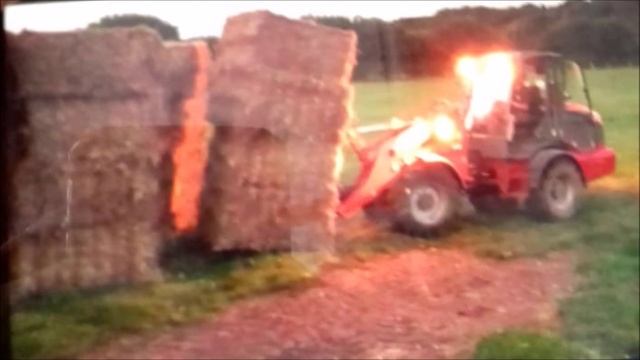 Collective farmer (другая версия)