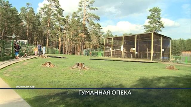 Улан-Удэнцы берут опеку над питомцами Этнографического музея.