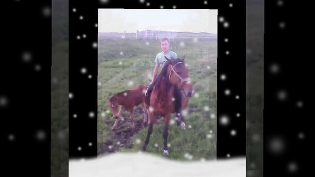 Любимому братишке в День его Рождения!!!