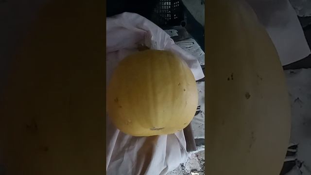 Как приучить ребенка есть тыкву/простой и действенный способ добавить в рацион тыкву.