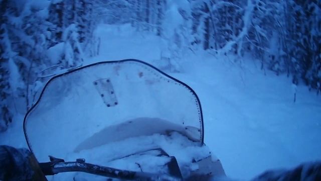 Пробиваюсь по заснеженному лесу на снегоходе Буран