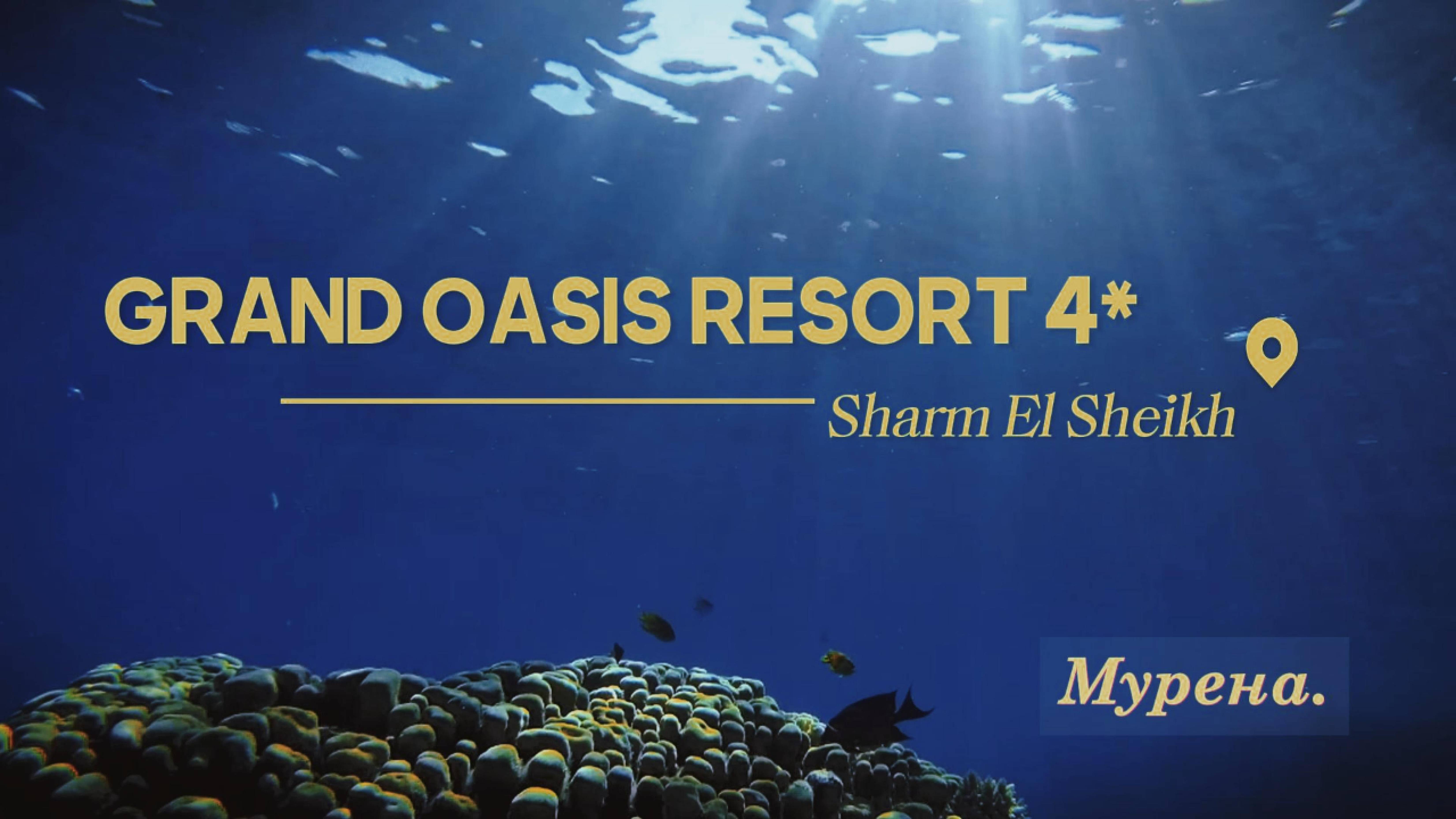 Мурена у отеля Grand Oasis Resort Sharn El Sheih