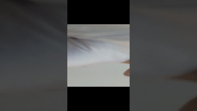 я в аэропорту