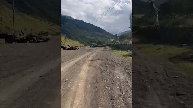 В Дагестане козел пытался сигануть из грузовика но зацепился рогами за провода.