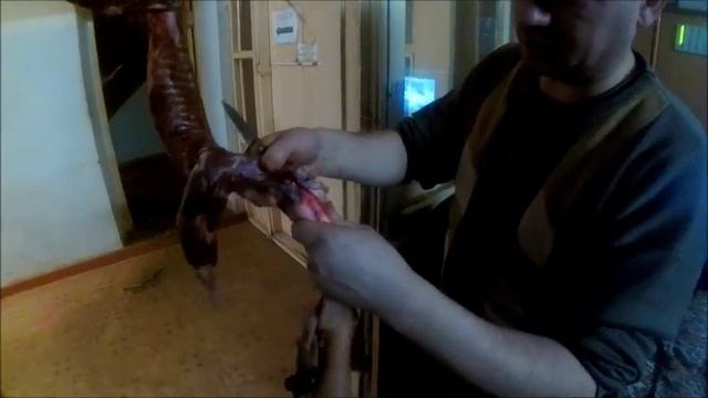 как ободрать куницу