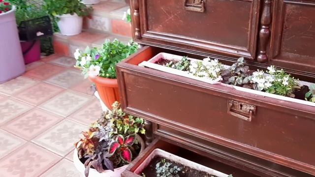 НАКОНЕЦ-ТО...ВСЕ РАСТЕНИЯ ВЫСАЖЕНЫ!!! ВСЕ ЁМКОСТИ НА СВОИХ МЕСТАХ!!! ОБЗОР ГОРШЕЧНОГО УГОЛКА!!!