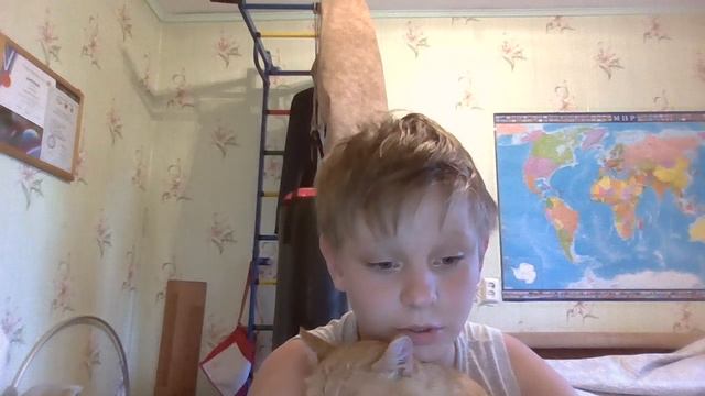 Отдаю кота в хорошие руки!!!!!!!!
