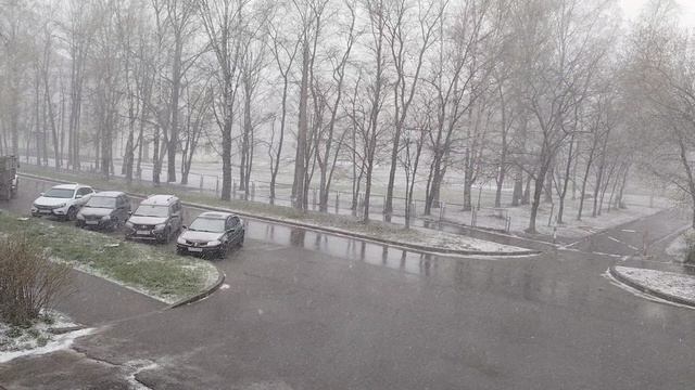 11 мая 2024 года_123514 с. Молочное