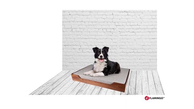 Flamingo Pet Products Company Video