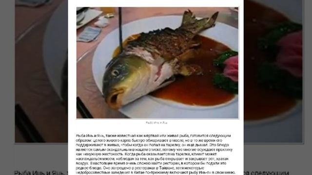 САМЫЕ УЖАСНЫЕ БЛЮДА В МИРЕ