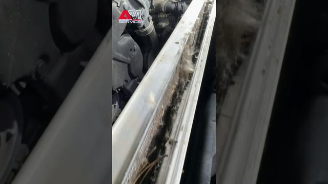 Охлаждение автомобиля это важно