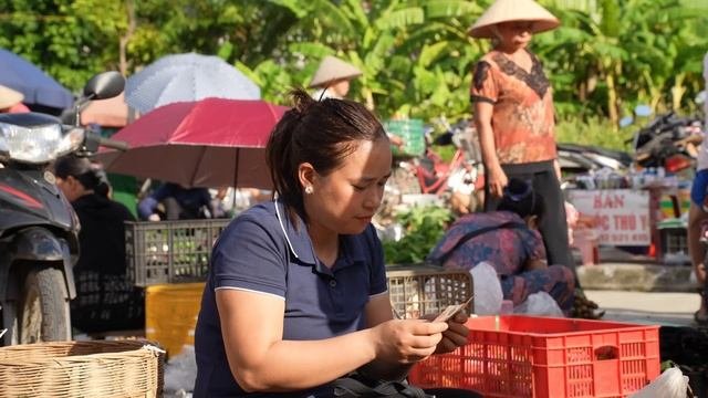 Harvest Avocado Garden Goes to the market sell - Gardening  Planting beans