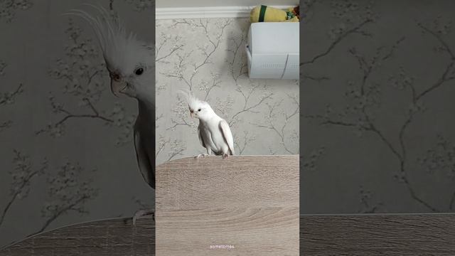 Музыка ошибок
