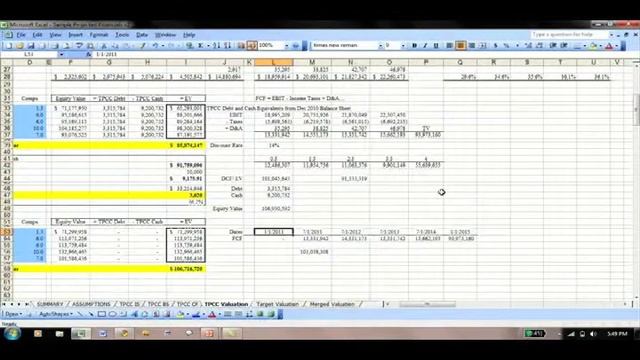 Net Present Value (NPV and XNPV) | CFMS 19