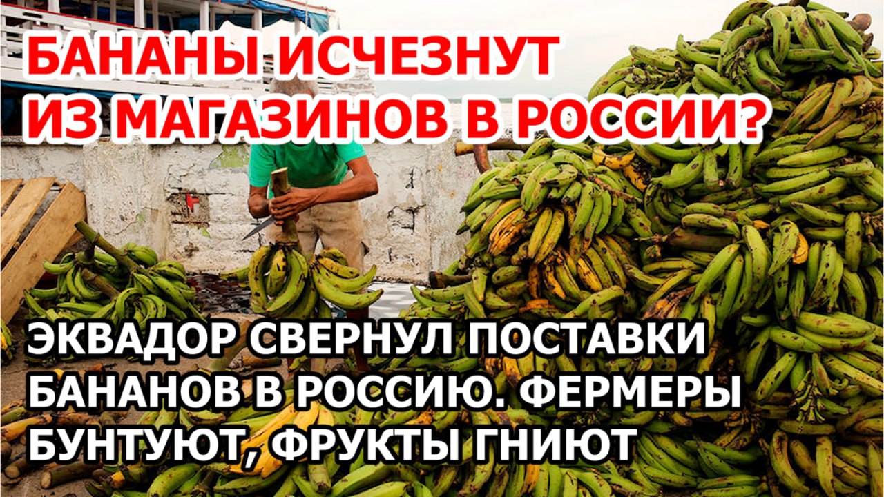 Бананы Пропали Из Магазинов 2023