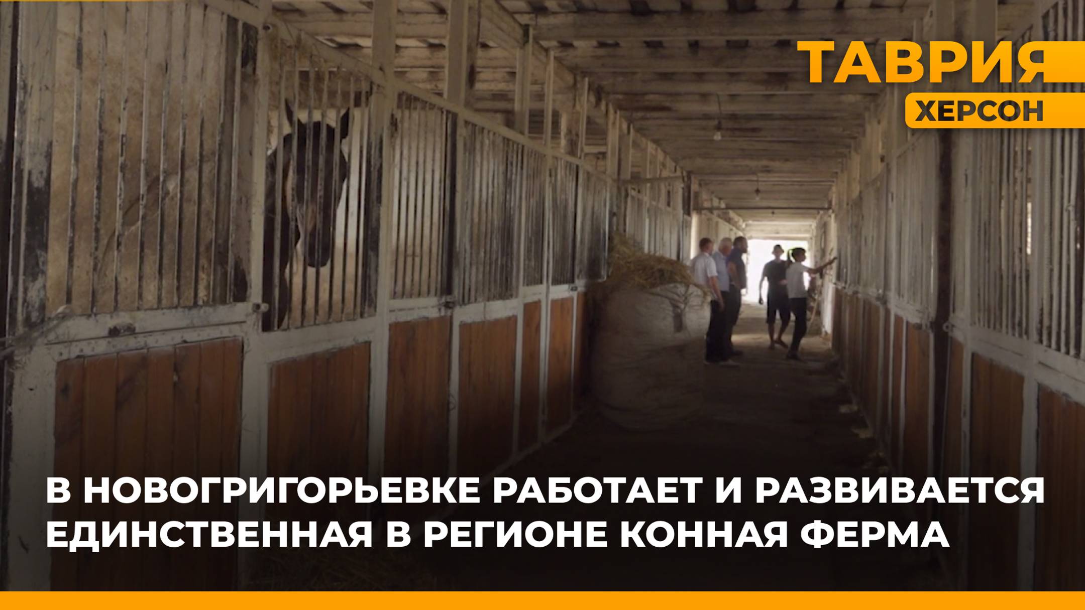 В Новогригорьевке работает и развивается единственная в регионе конная ферма