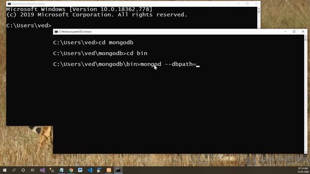 Starting MongoDB