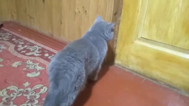 Как у вас дела? У нас замечательно, сами смотрите)