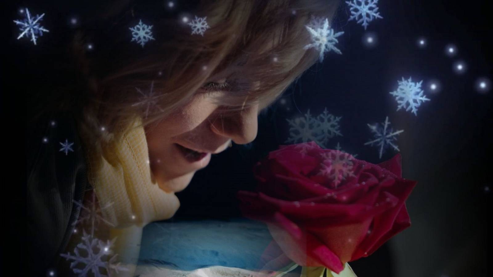 Андрей Обидин – Снежно-нежная сказка… Зимняя роза… Видео для души и хорошего настроения
