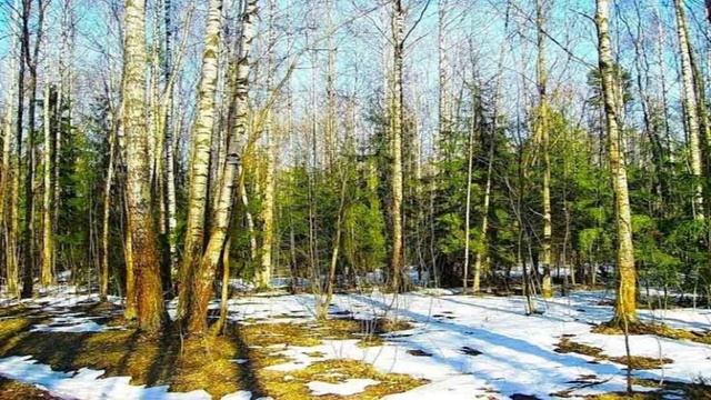 СЛИВ СЮЖЕТА 34 СЕРИИ "ЗОМБИ-АПОКАЛИПСИС"