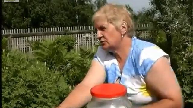 Содержание и кормление козлят