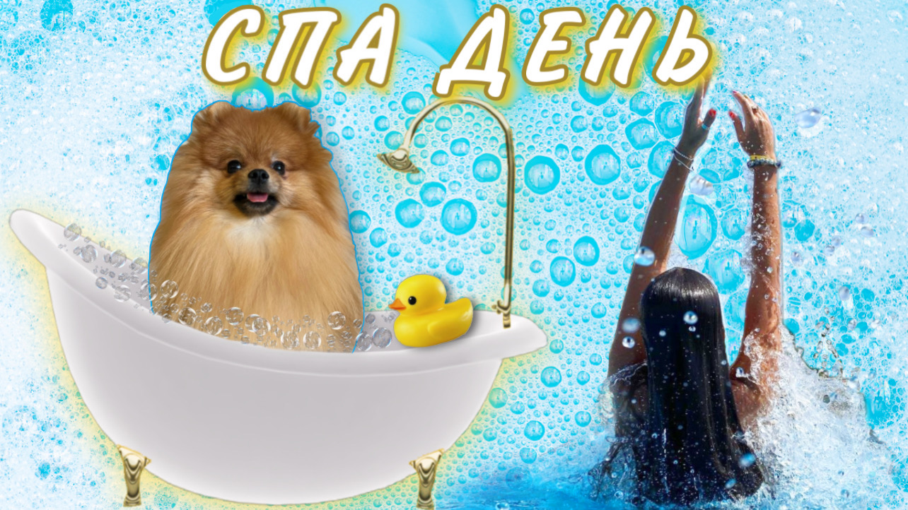 МОЙ ДЕНЬ СО ШПИЦОМ / ЖИЗНЬ В ДОНЕЦКЕ