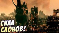 Самые свирепые СЛОНЫ!♞ (Total War, кампания Аксум) #50