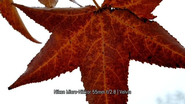 Fujifilm X-T2 4k video test