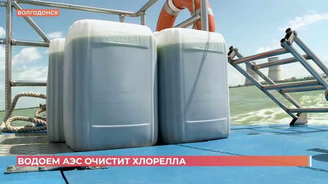 Хлорэлла очистит водоем-охладитель Ростовской АЭС от сине-зелёных водорослей