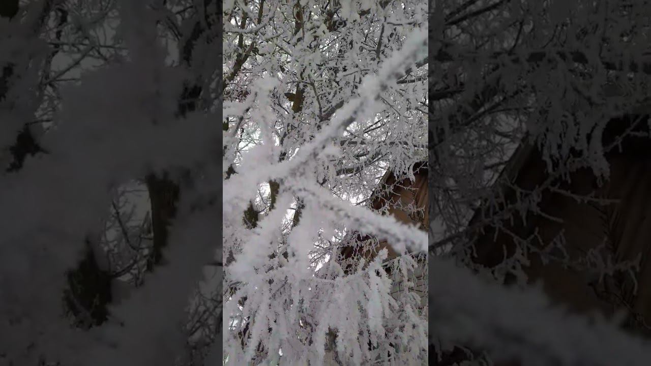 зима.