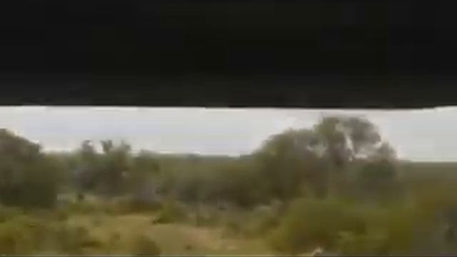 Друзья познаются в беде