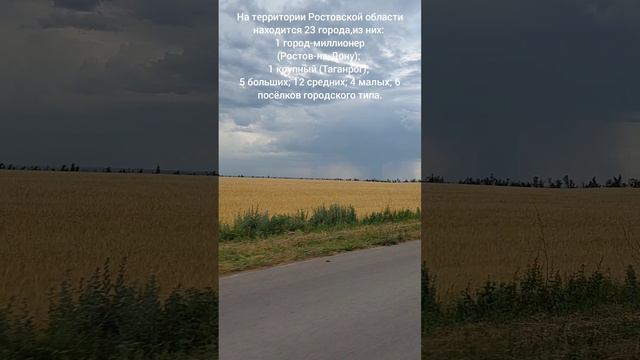 Ростовская область: пшеничные поля, грозовые облака, гром и дождь.