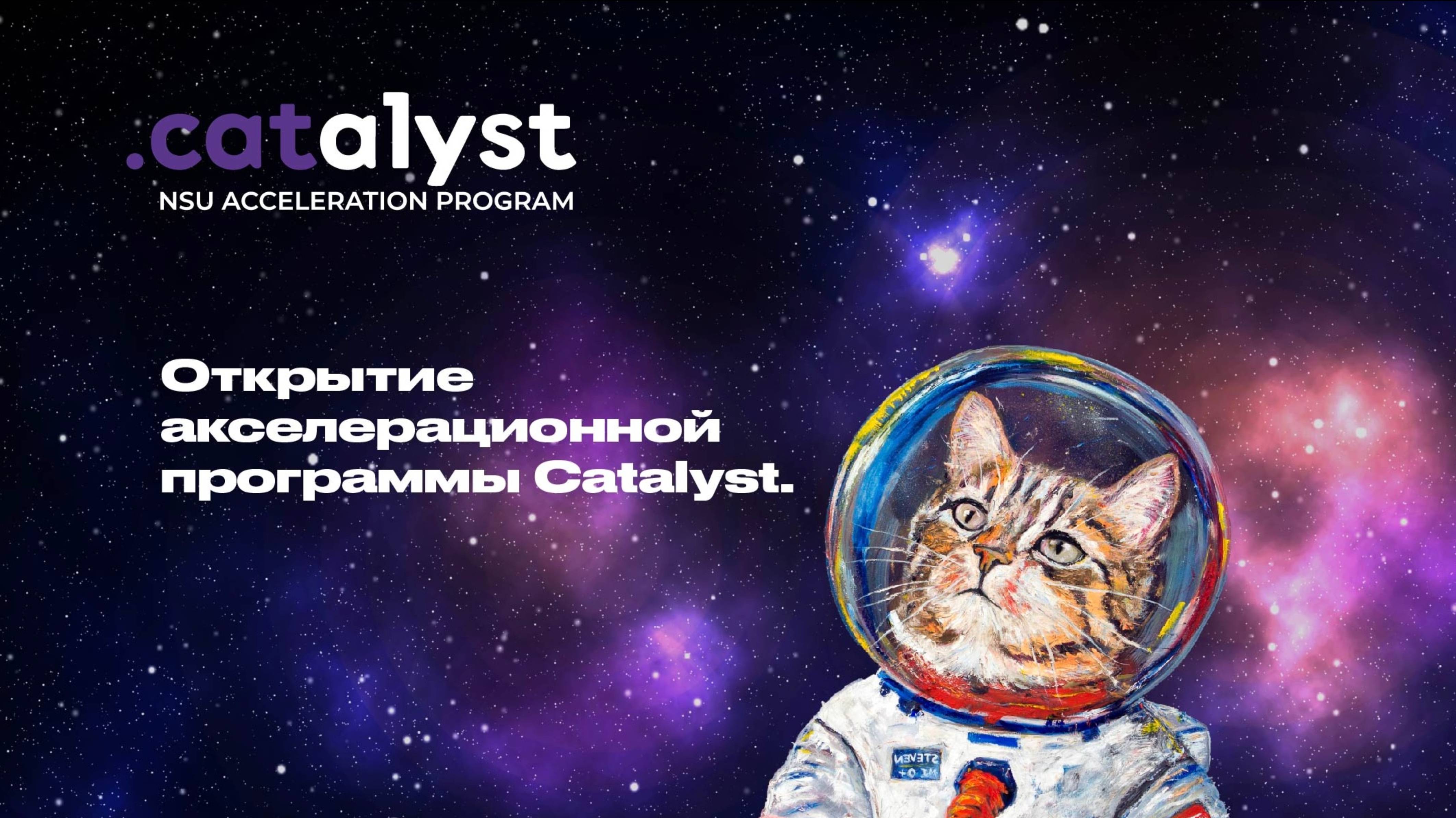 Официальное открытие акселерационной программы Catalyst. Презентация партнеров и заказных задач