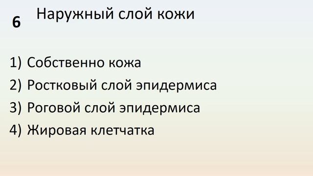 Б8 11 Покровы тела