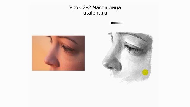 Как нарисовать нос